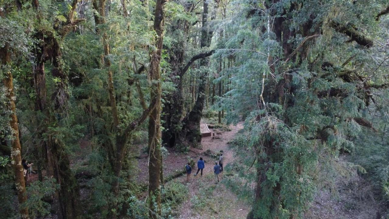 Lodge Parque Tepuhueico كاسترو المظهر الخارجي الصورة